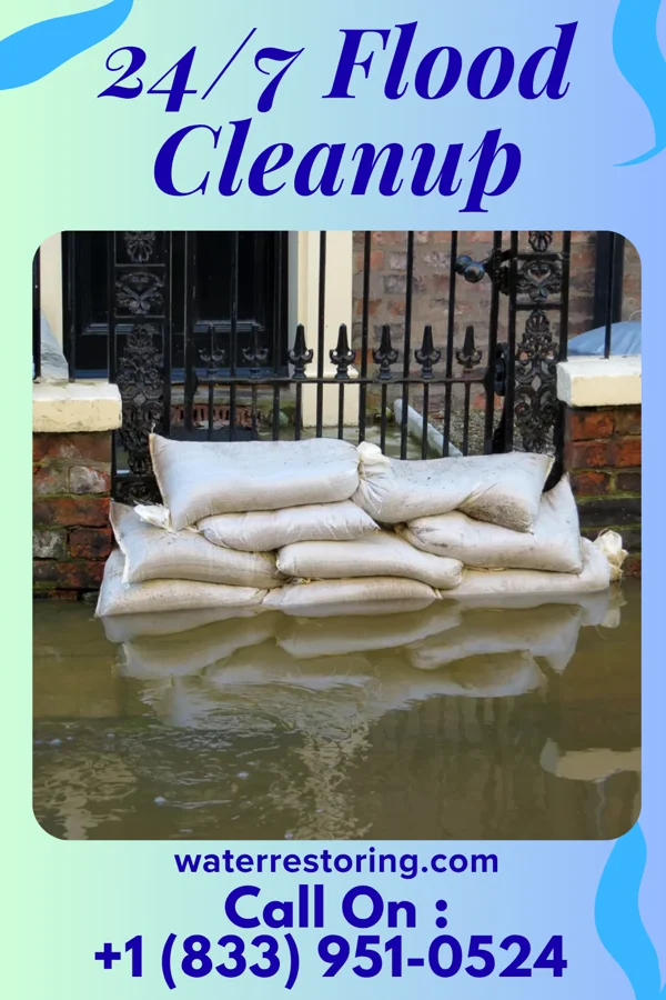 24/7 Flood Cleanup in Valley Mills, TX