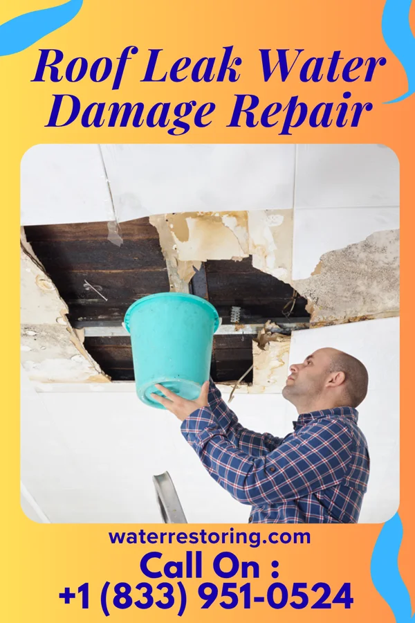 Roof Leak Water Damage Repair in Valley Mills, TX